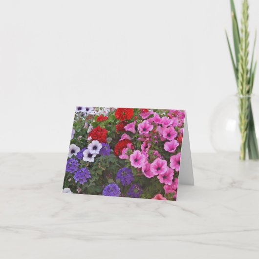 Carte le pétunia fleurit le chèque-cadeau (Devant)