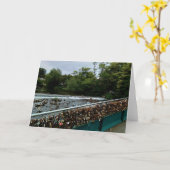 Carte Le pont à cadenas (Fleur jaune)