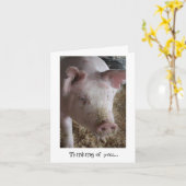 Carte Le porc pensant à vous cardent (Fleur jaune)