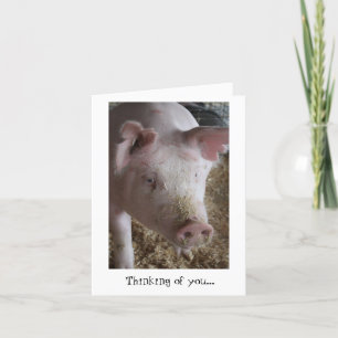 Carte Le porc pensant à vous cardent