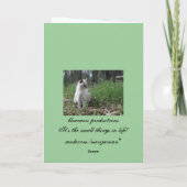 Carte Le portrait du bleu de Kitty (Dos)