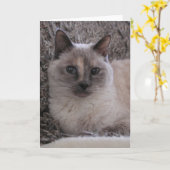 Carte Le portrait du bleu de Kitty (Fleur jaune)