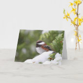 Carte Le poulet en neige sur un cèdre (Fleur jaune)
