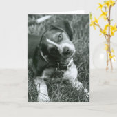 Carte Le regard (Fleur jaune)