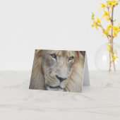 Carte Le regard fixe d'un lion (Fleur jaune)