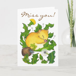 Carte Le Regret de Ted