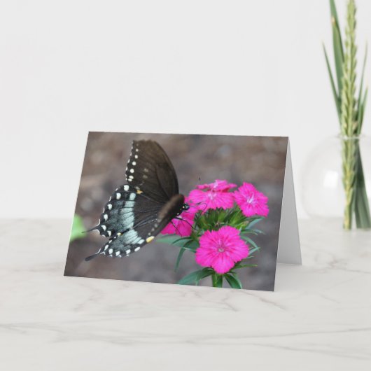 Carte Le rêve papillon (Devant)