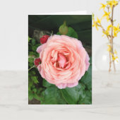 Carte Le Rose Dusty Springfield (Fleur jaune)