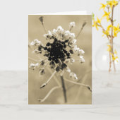 Carte Le sac de berger à Sepia (Fleur jaune)