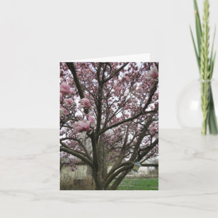 Carte Le Saut de Tulip Tree Spring