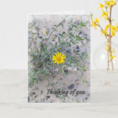 Carte « Le Seigneur veille sur vous » (Fleur jaune)