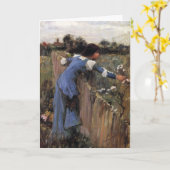 Carte Le Sélecteur De Fleurs (Fleur jaune)