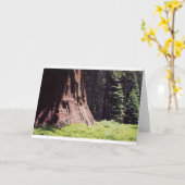 Carte Le séquoia puissant (Fleur jaune)