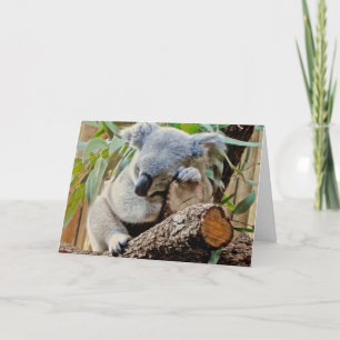 Carte Le sommeil d'ours de koala obtiennent bien
