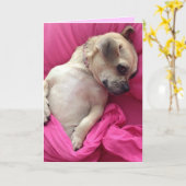 Carte Le souffle mignon de chiot dans le rose couvre la (Fleur jaune)