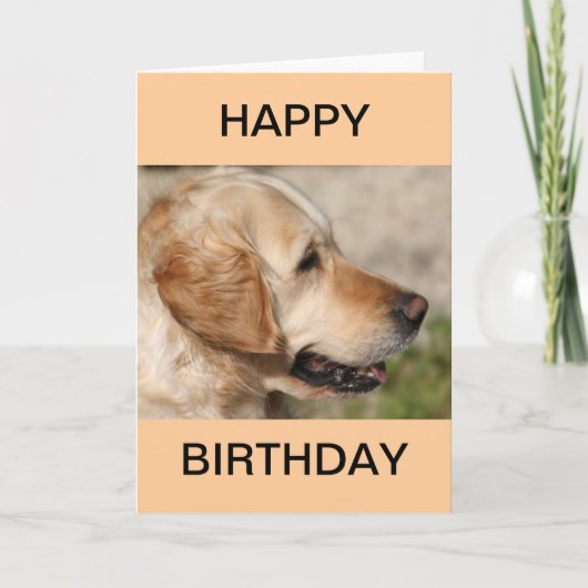 Carte Le sourire du Labrador (Devant)