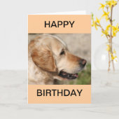 Carte Le sourire du Labrador (Fleur jaune)