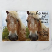 Carte "Le sucre : la grâce de l'Appaloosa" (Intérieur)