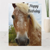 Carte "Le sucre : la grâce de l'Appaloosa" (Devant)