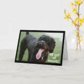 CARTE **LE TEMPS DE CÉLÉBRER VOTRE 21E ANNIVERSAIRE** (Fleur jaune)