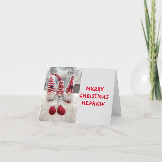 CARTE LE TEMPS DU PLAISIR À NOËL NEPHEW (Devant)