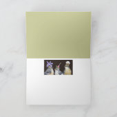 Carte Le Tennesseans (carte d'oiseau moqueur) (Intérieur)