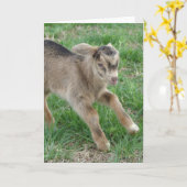 Carte Le Tonnerre arrive (Fleur jaune)