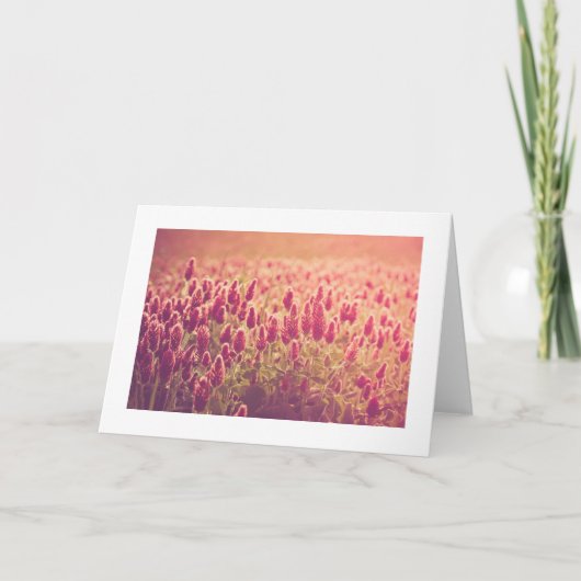 Carte Le trèfle incarnat fleurit la salutation de nature (Devant)