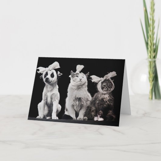 Carte Le trio triste, intérieur vide (Devant)