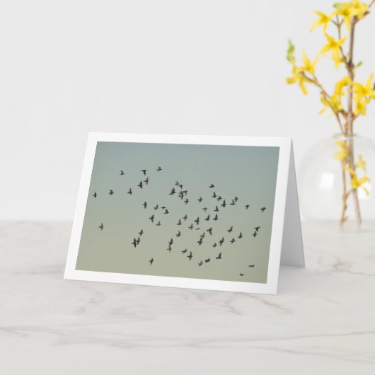 Carte Le troupeau des colombes (Fleur jaune)