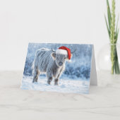 Carte Le veau des Highlands dans la neige Joyeuses vacan (Devant)