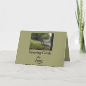 Carte Le vieux banc de parc (Dos)