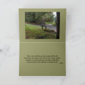 Carte Le vieux banc de parc (Intérieur)