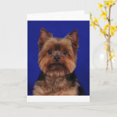 Carte Le Yorkie (Fleur jaune)