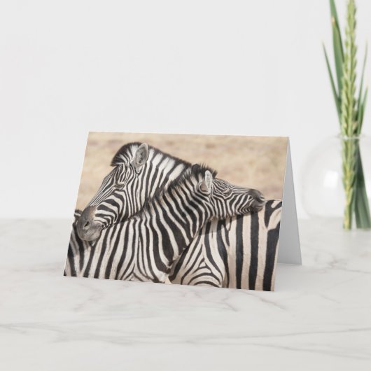 Carte Le zèbre de Burchell (Devant)