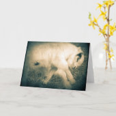 Carte Leap For Joy (Fleur jaune)