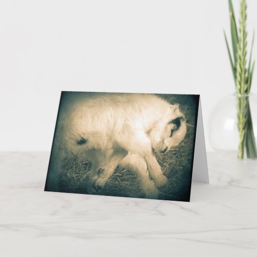 Carte Leap For Joy (Devant)