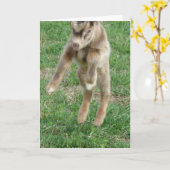 Carte Leap For Joy (Fleur jaune)