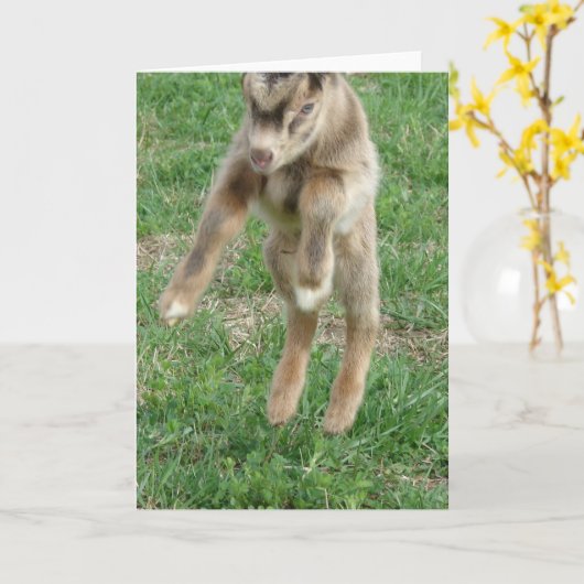 Carte Leap For Joy (Fleur jaune)