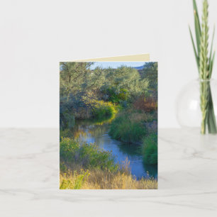 Carte L'eau coule dans le ruisseau comme un tableau