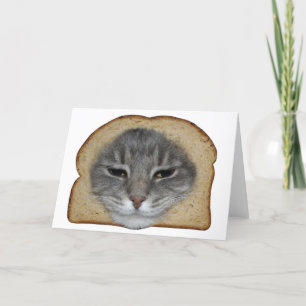Carte Lecteur de chats
