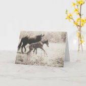 Carte Lecteurs directs (Fleur jaune)