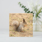 Carte L'écureuil mignon mange une photo de noix (Debout devant)