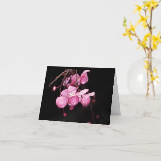 Carte Lecythidaceae : Couratari tenuicarpa (Fleur jaune)