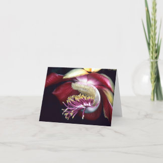 Carte LECYTHIDACEAE : Couroupita guianensis