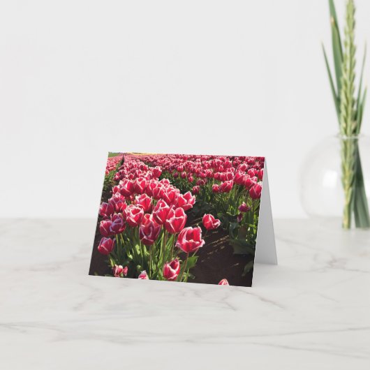 Carte Leen Van Der Mark Tulips, Oregon (Devant)
