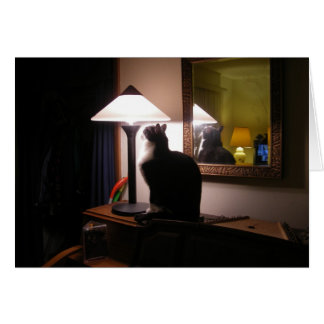 Carte légère de chat