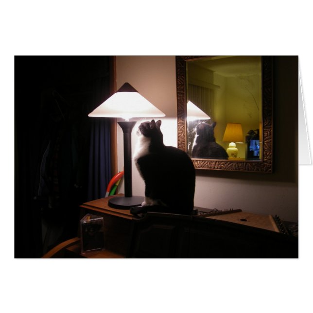 Carte légère de chat (Devant horizontal)