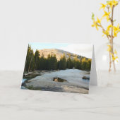 Carte Lembert Dome à Tuolumne Meadows, Yosemite, CA (Fleur jaune)