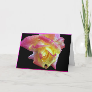 Carte Lémonade rose